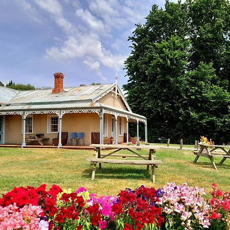 Peter'S Farm Lodge Waipiata Экстерьер фото