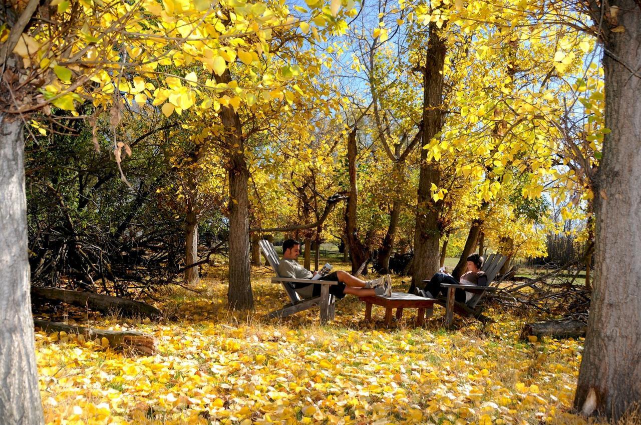 Peter'S Farm Lodge Waipiata Экстерьер фото